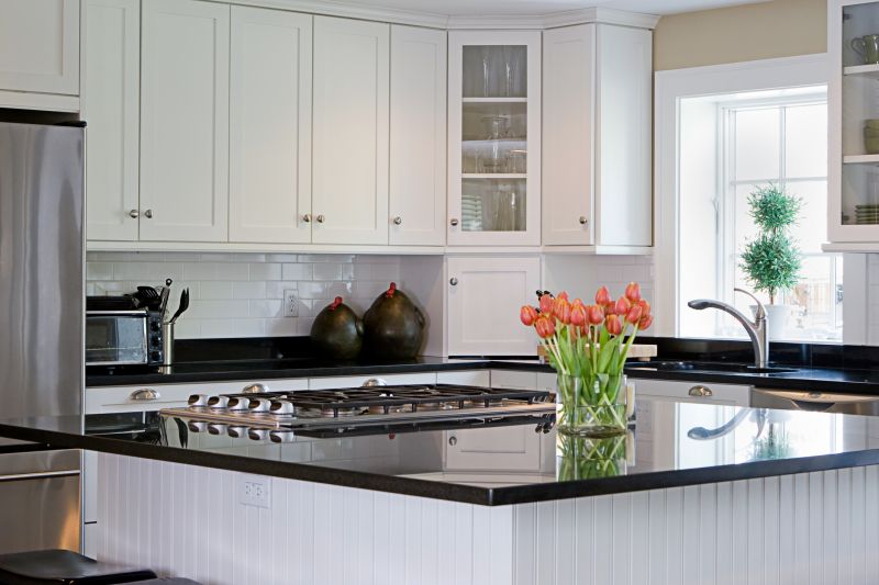 Kitchen Countertop Remodeling in Lake County, IL